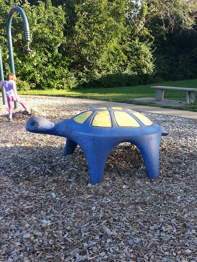 Dad Perry Park Turtle