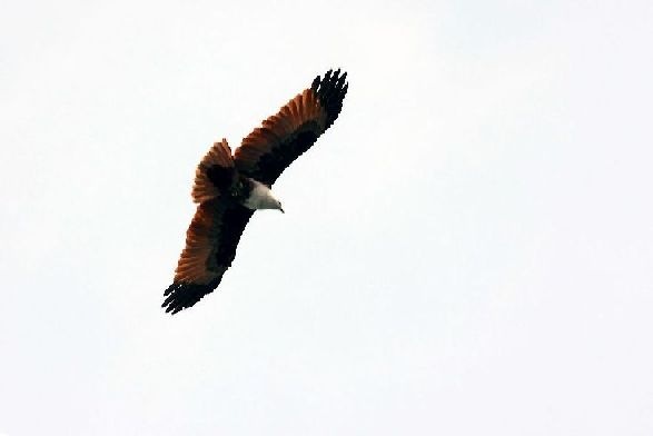 [IMG_6494[5].jpg]