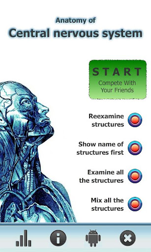 Anatomy Star - CNS the Brain