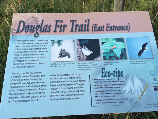 Douglas Fir Trail