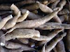 Venta De Yuca Dulce