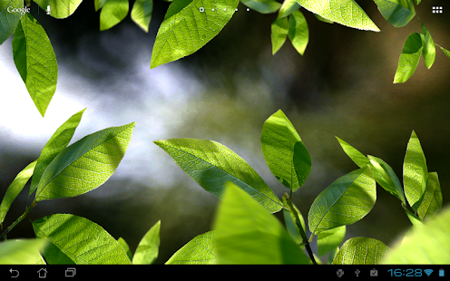   Fresh Leaves- screenshot thumbnail   