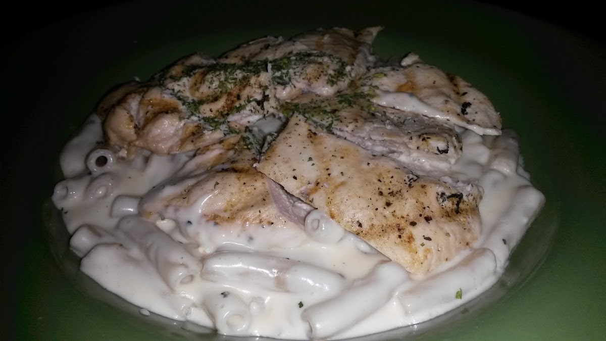 GF pasta with grilled chicken in alfredo sauce