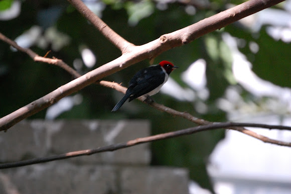 Spotting Image 1