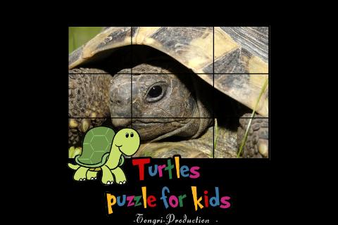 海龟儿童拼图