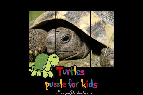 turtles puzzles for kids