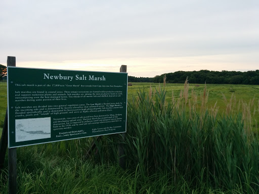 Newbury Salt Marsh