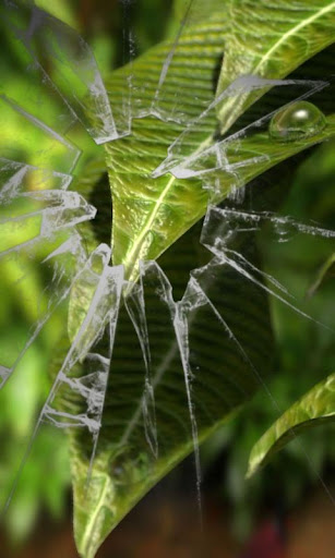 Leaf Water Drop free