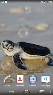 How to get Sea Turtle Underwater patch 1.0 apk for pc