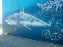 Great White Shark Mural 
