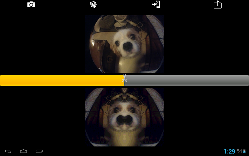 How to download Symmetrical Selfie 2 apk for bluestacks