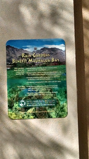 Rain Garden Informational Sign