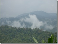 DSCN5181