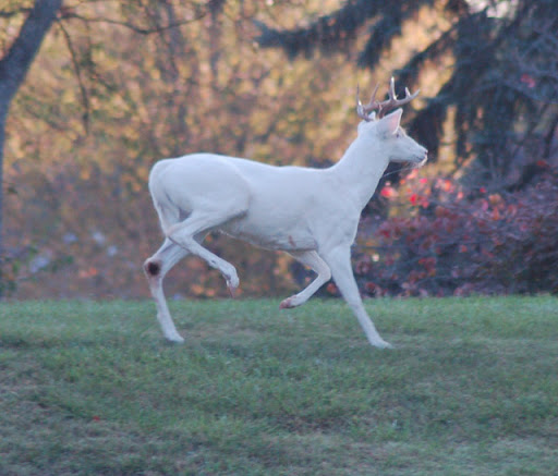 Here's One You Don't See Every Here's One You Don't See Every