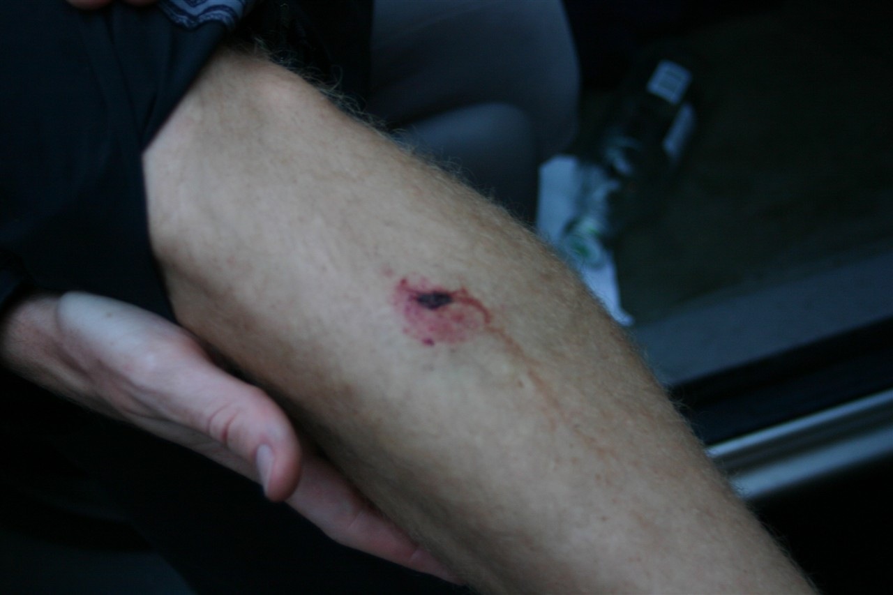 [IMG_52481280x8533.jpg]