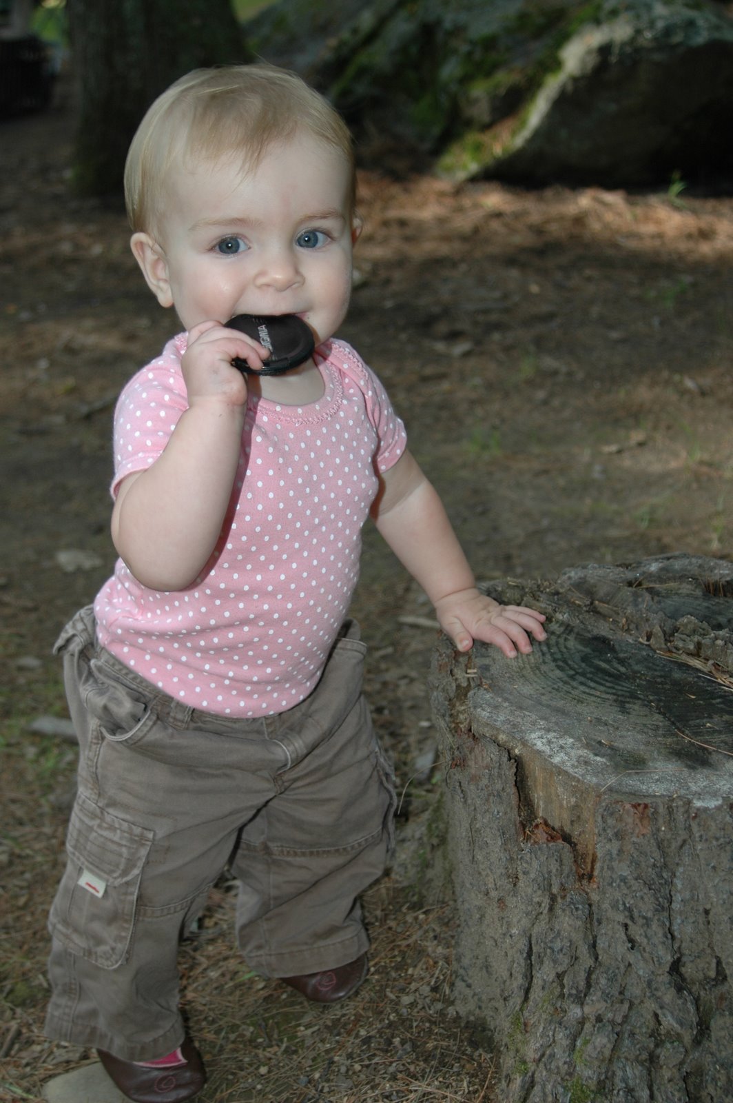 [DSC_0042[5].jpg]