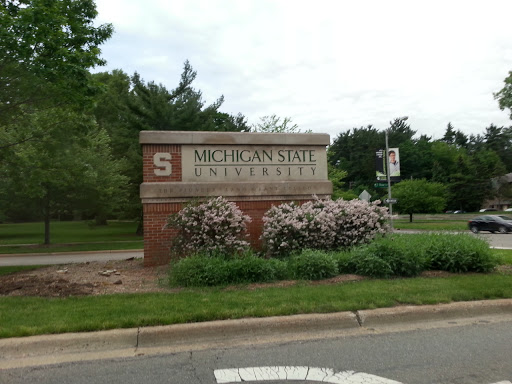 MSU Entrance Sign