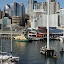View of Sydney WildlifeWorld &amp; Aquarium from Pymont Bridge at Darling Harbour