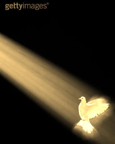 [HoPe[15].jpg]