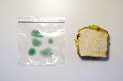 sandwich_2