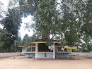 Saliyala Temple