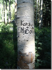 2008_07_19 005