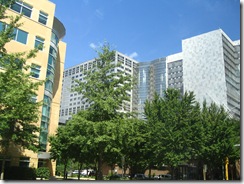 2008_08_16 014