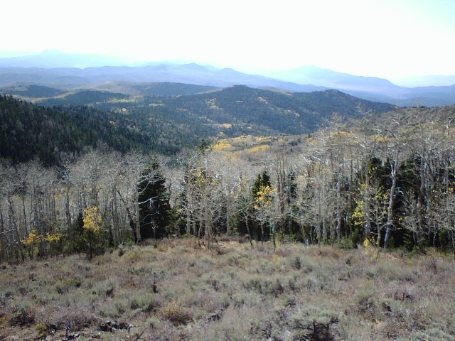 [2008_10_10 001[2].jpg]