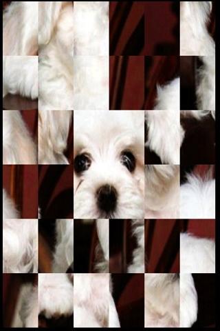 かわいい犬のパズルA2