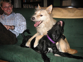 Charlie and Max at play
