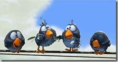birds