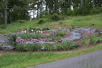 A large spiral flower garden in progress