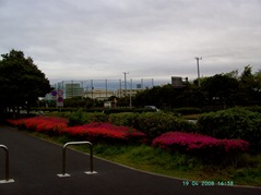 PICT0060