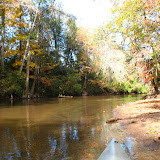 Kayaking the Little Choctawhatchee River (Daleville, AL)