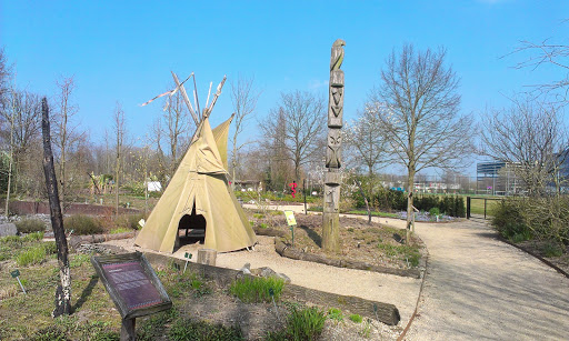 Tipi and Totem