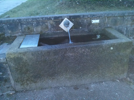Pfaffenstein Spuck Brunnen 