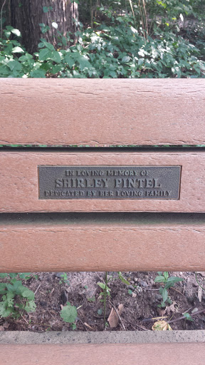 In Memory of Shirley Pintel
