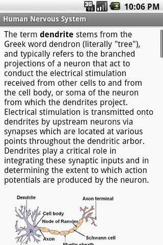 Human Nervous System Study Gui