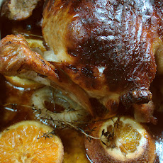 Special Occasion Turkey