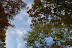 DSC_7740.JPG