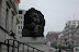 DSC_7130.JPG