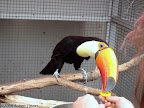 Steve contributing his observations