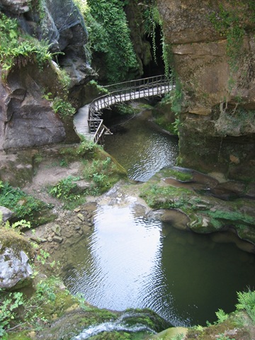 [IMG_44762.jpg]