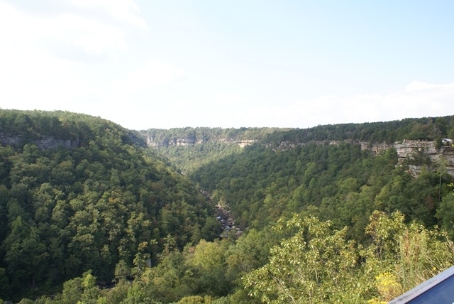 [September20081492.jpg]