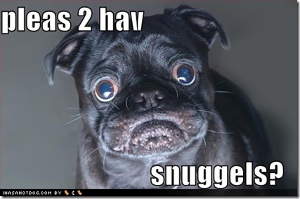 funny-dog-pictures-black-snuggle-pug