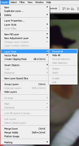 [menu_layer_layer_Mask_Reveal_ALL[4].jpg]