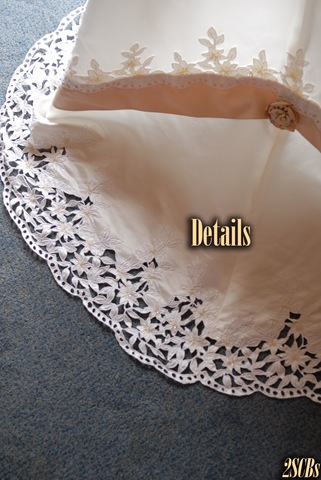 [Dressdetails4.jpg]