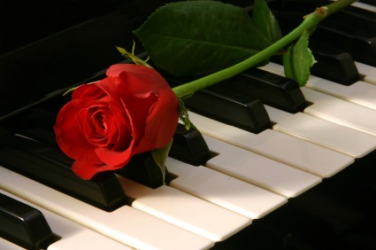 [rose_piano[3].jpg]