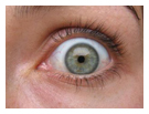 697355_green_eye.jpeg