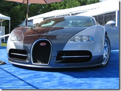bugatti_veyron_nose_2